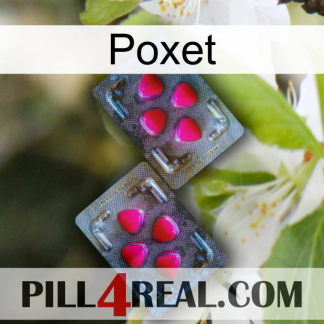 Poxet 15